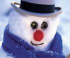 Snowman face with Hat and a blue scarf