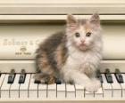 Kitten playing upon a piano