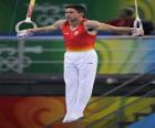 Artistic gymnastics - Still rings