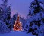 Christmas tree illuminated in the snowy forest