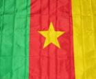 Flag of Cameroon