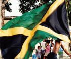 The flag of Jamaica, is formed a Yellow Cross and four triangular areas, two black and two green