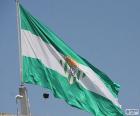 Real Betis flag is green and white