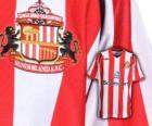 Emblem of Sunderland A.F.C.