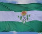 Real Betis flag with two green stripes and a one white, the emblem in the centre