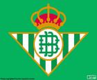 Emblem of Real Betis with green background