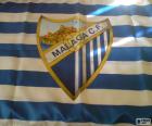 Flag of Málaga C.F, blue and white horizontal stripes