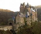 Huge castle surrounded by woods