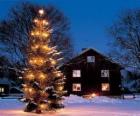 House with a large decorated Christmas tree in the garden