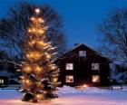 House with a large decorated Christmas tree in the garden