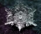 A small ice crystal snowflakes form