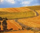 Landscape of rolling fields