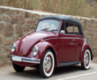 Classic car - Volkswagen Beetle