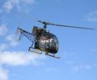 Light helicopter