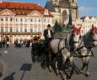 Horse carriage - Carriage