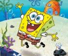 SpongeBob is a sea sponge