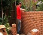 A bricklayer raising a wall