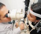Optician reviewing a patient