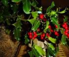 Holly with red berries