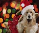 Puppy with Santa Claus hat in a basket