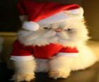 Kitten dressed as Santa Claus