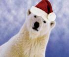 Polar bear with Santa Claus hat