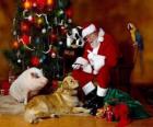Santa feeding some animals