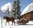 A family in a sleigh pulled by a horse for Christmas