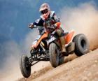 Quad or All-terrain vehicle -ATV- with pilot