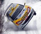 Rally Car on the snow