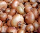 Onions are edible bulbs