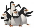 The penguins, Skipper, Kowalski, Rico and Private.