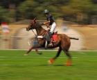 Polo player playing a game