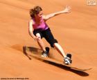 The Sandboarding is a sport that consists of the reduction of dunes