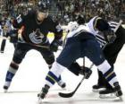 Players in an ice hockey match