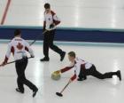 Curling is a precision sport similar to bowls or bocce English, performed in an ice rink.