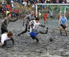 Mud Olympics, or Wattolumpiad, are battling in the marshes of the Elbe River