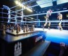 Chess boxing is a hybrid sport which combines boxing with chess in alternating rounds.