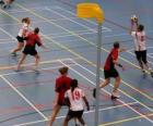 The korfbal, also called balonkorf, is a team sport played between two teams looking to introduce a ball into a basket.