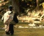 Fisherman in river action