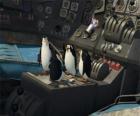 Penguins repaired an old crashed plane