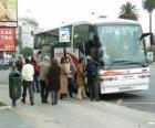 Urban bus in the bus stop