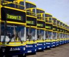 Buses from Dublin in the parking