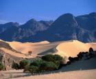 Nature Reserves of the Air and Tenere, Niger