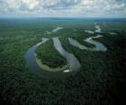 Rio Amazonas, in the complex conservation of Central Amazon, Brazil