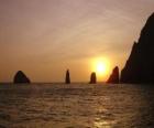 Shrine of fauna and flora of Malpelo, Colombia.