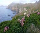 Subantarctic islands, comprising the islands of the Snares, Bounty, Antipodes, Auckland and Campbell, located in the Southern Ocean, southeast of New Zealand.