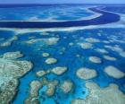 The Great Barrier Reef, coral reefs throughout the world largest. Australia.