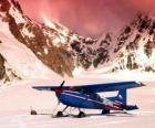 Cessna 185 in the snow