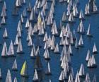 Sailing regatta